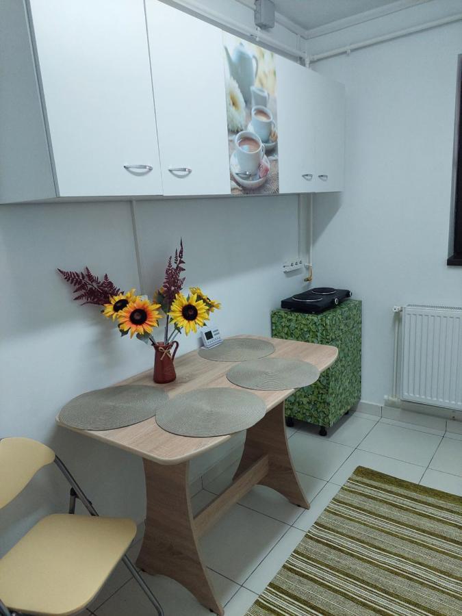Apartament Octav Deva Zewnętrze zdjęcie